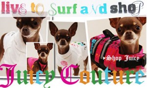 juicy_summer_hp