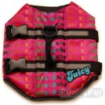 juicylifevest2