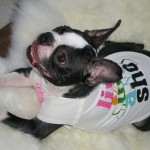 Looking beachy in her new Juicy Couture Shirt