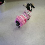Running around the store in her new Wooflink outfit!!