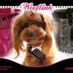 wooflink_summer09_1
