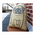 zillapillow