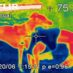 thermo_graph_320