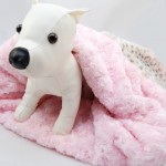 snugglesack_dog
