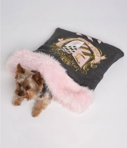 ytrud393_dog