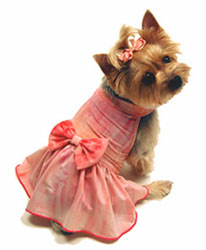 Easter Dog Dress