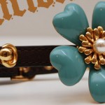 juicy_dogcollars