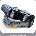 signaturecollar_tt