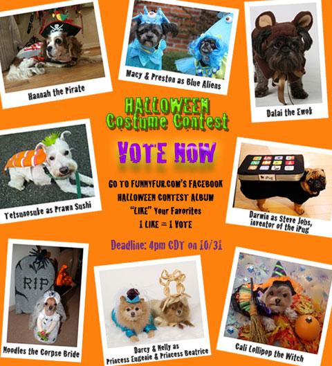 FunnyFur.com's Annual Halloween Dog Costume Contest