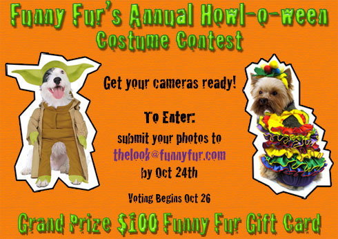 Halloween Dog Costume Contest