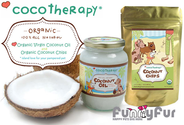 Cocotherapy