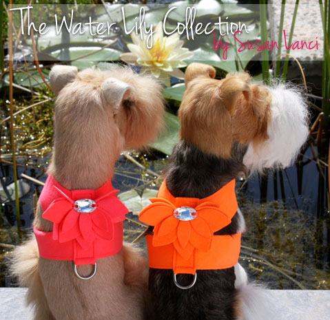 Susan Lanci Water Lily Dog Harness