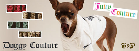 Juicy Couture Dog Clothes