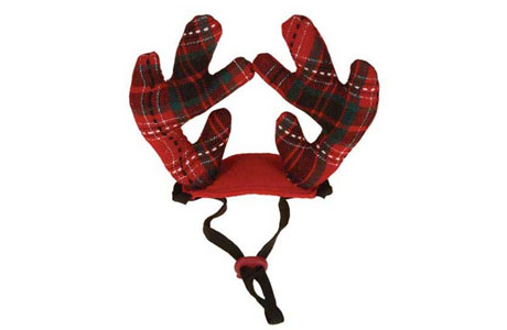 Dog Reindeer Antlers