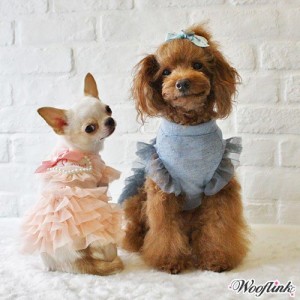Love at First Sight Dress