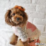 Wooflink Dog Clothes