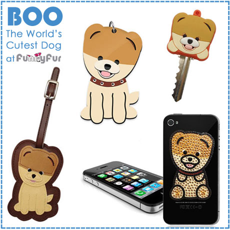 Boo the World's Cutest Dog
