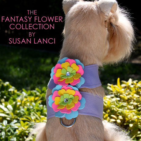Susan Lanci, Dog harness, Ultrasuede dog harness, Fantasy Flower