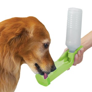 Handi-Drink Regular Portable Water Bottle