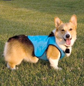 Dog Cooling Vest