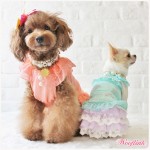 Dog Clothes