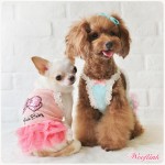 Wooflink 5