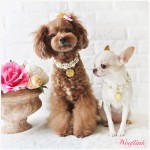 Wooflink 6