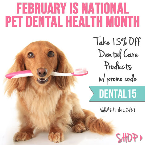 Pet Dental Care, Dog Toothbrush, National Pet Dental Health Month