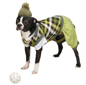 Dog Golfer Costume