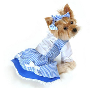 Dorothy Dog Costume