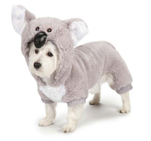 Koala Dog Cotume