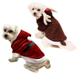 Santa Dog Costume