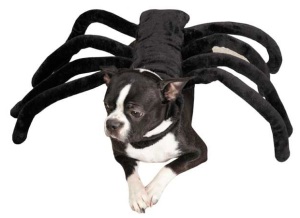 Spider Dog Costume