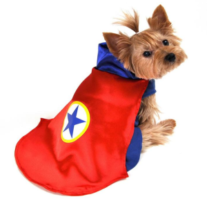 Superhero Dog Costume