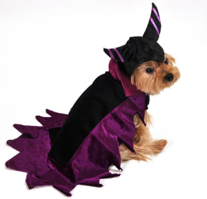 Wicked Fairy Dog Costume