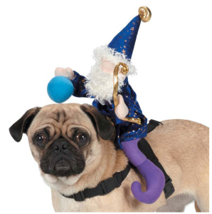 Wizard Dog Costume