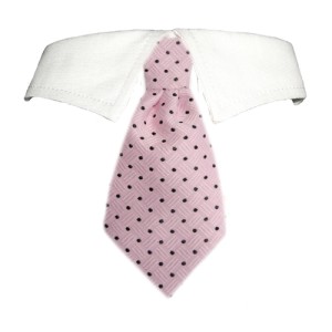Elliot Shirt Tie Collar