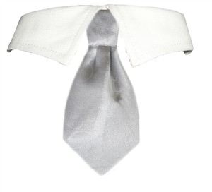 Noah Shirt Tie Dog Collar